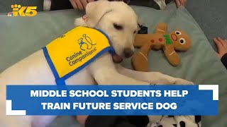 Lakes Stevens Middle School students help train puppy to be a future service animal