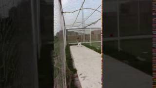 VID 20150924 072737