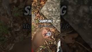 I recorded random sounds all day… wait ‘til you hear the beat I made 😳🎧 #SoundToSong