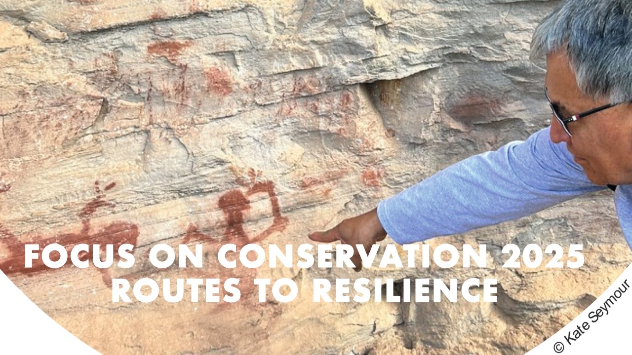 Day 3: Resiliant Resources & Partnerships