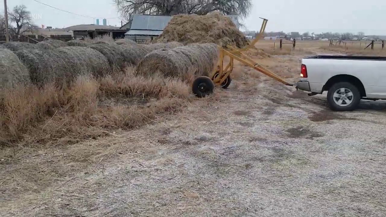 An inventive way of hauling hay