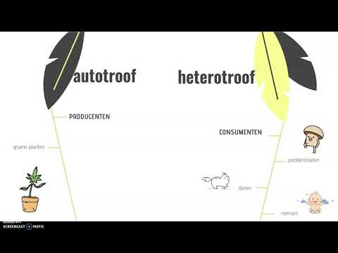 Video: Outotrofe en heterotrofe: eienskappe, ooreenkomste en verskille