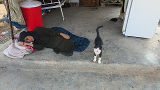 #Grandma
<h1>Perenchaver " loading="lazy" width="210" height="210" onerror="this.onerror=null;this.src='https://sandbox.hatchcompliance.com/favicon.ico';" style="width:100%; height:auto; border-radius:5px; object-fit:cover; aspect-ratio:1/1;"></a><div style=