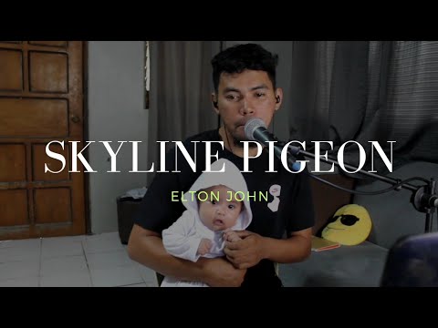 Skyline Pigeon -