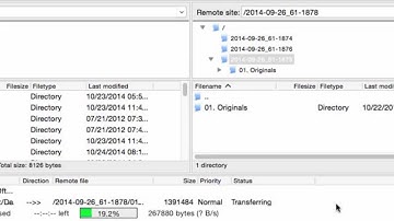 How To Upload Files Using Standard FTP