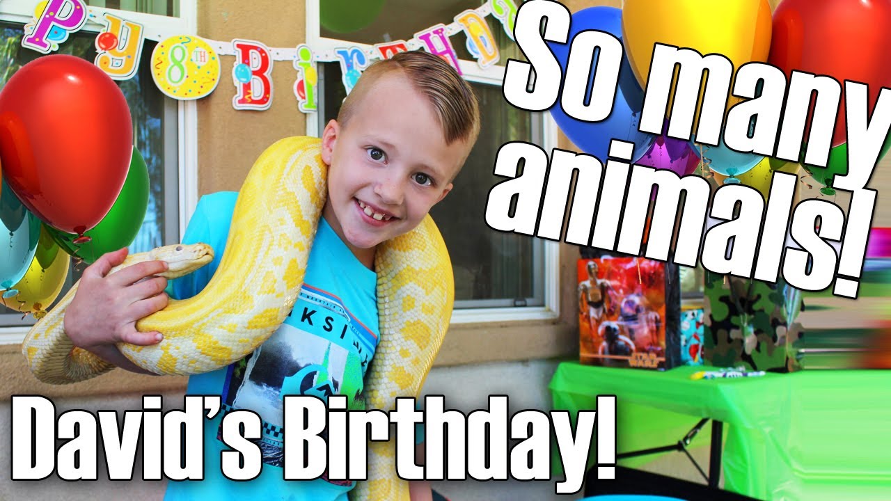 Davids Birthday