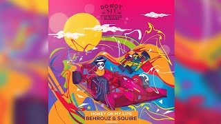 Behrouz, Squire - Honey On My Lips (Original Mix)[Do No Sit On The Furniture Recordings] screenshot 3