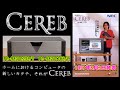 [PC-9821C233/V] CEREBのセットアップ方法 [PC-9821C166/C]