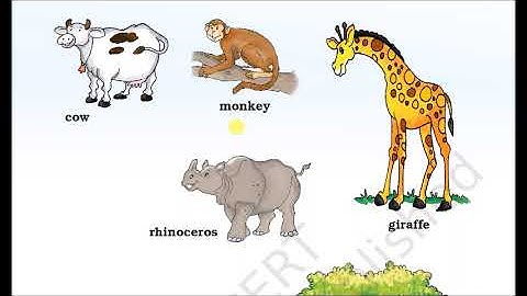 Marigold - English -  Text Book For Class 1  - Lecture 4