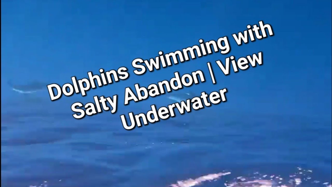 Salty Quicky #138 | See Dolphins swimming with Sailboat from UNDERWATER!