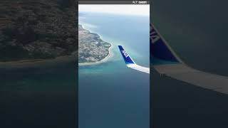 Short Haul Logistics Boeing 737-8 Low Alude Roig To Romy Procedure Flight