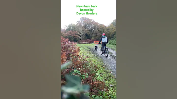 Bikejoring with Stephen Crook and Lenny at #newnha...