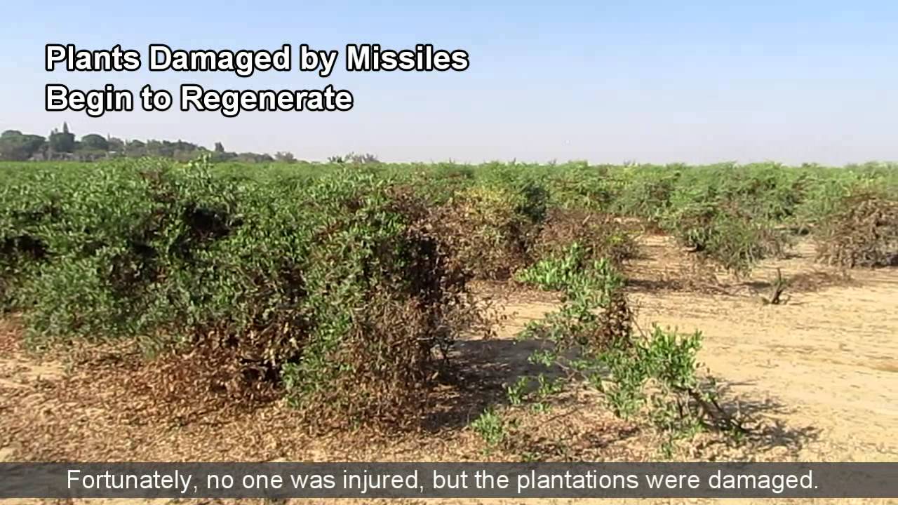 Hatzerim Water Recyling Facility Transforms Local Agriculture - YouTube