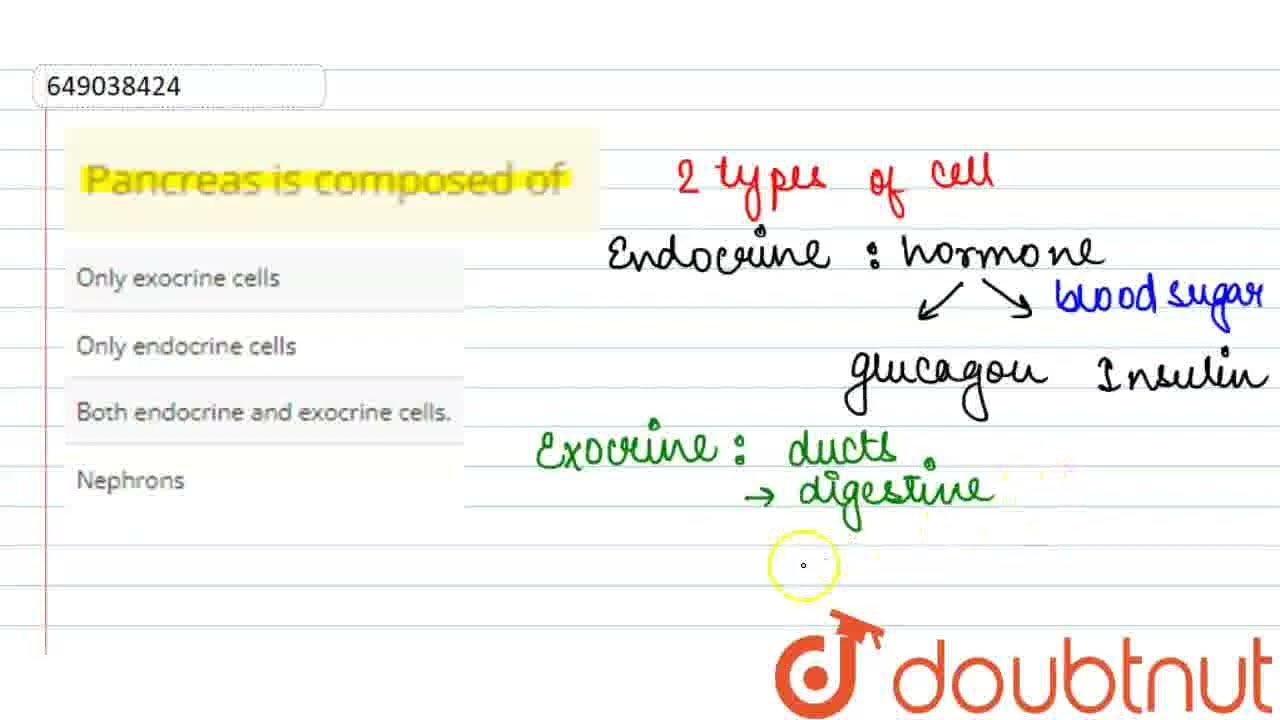 Pancreas is composed of  | CLASS 12 | NTSE STAGE II (SAT) | BIOLOGY | NTSE PREVIOUS YEAR PAPER |...