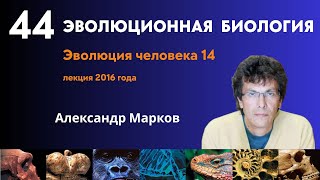 картинка: Палеогенетика