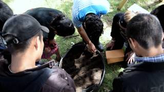 Food Security in Guatemala