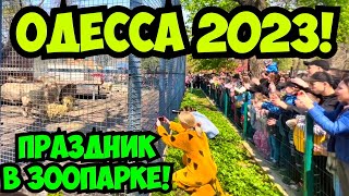 ОДЕССА ЗООПАРК ЭВАКУИРОВАННЫЕ БЕЛЫЕ ЛЬВЫ ИЗ ХАРЬКОВА 22 АПРЕЛЯ 2023 🦁❗️