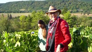 Vendanges à Giverny .France. Сбор винограда в Живерни .Франция 2022