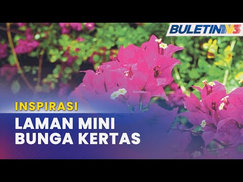 Video: Helah Taman Bunga – Menanam Taman Bunga dengan Berjaya