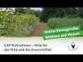 Djvonlinevortragsreihe wildtiere und mensch  gapmanahmen