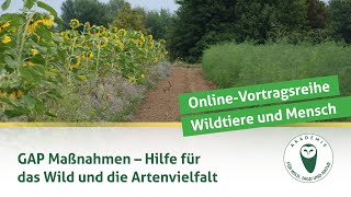 DJV-Online-Vortragsreihe „Wildtiere und Mensch“ | GAP-Maßnahmen