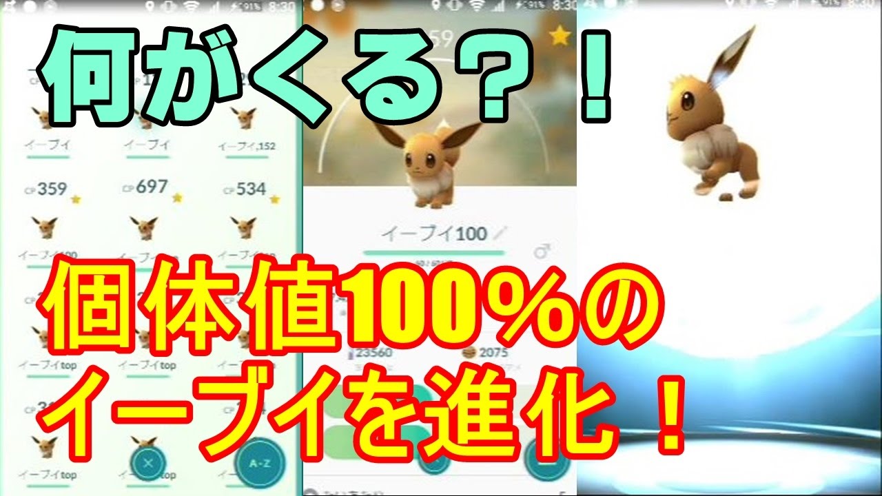 ポケモンgo 個体値100 のイーブイを進化 トップレベル27匹も 進化先は 技は Youtube