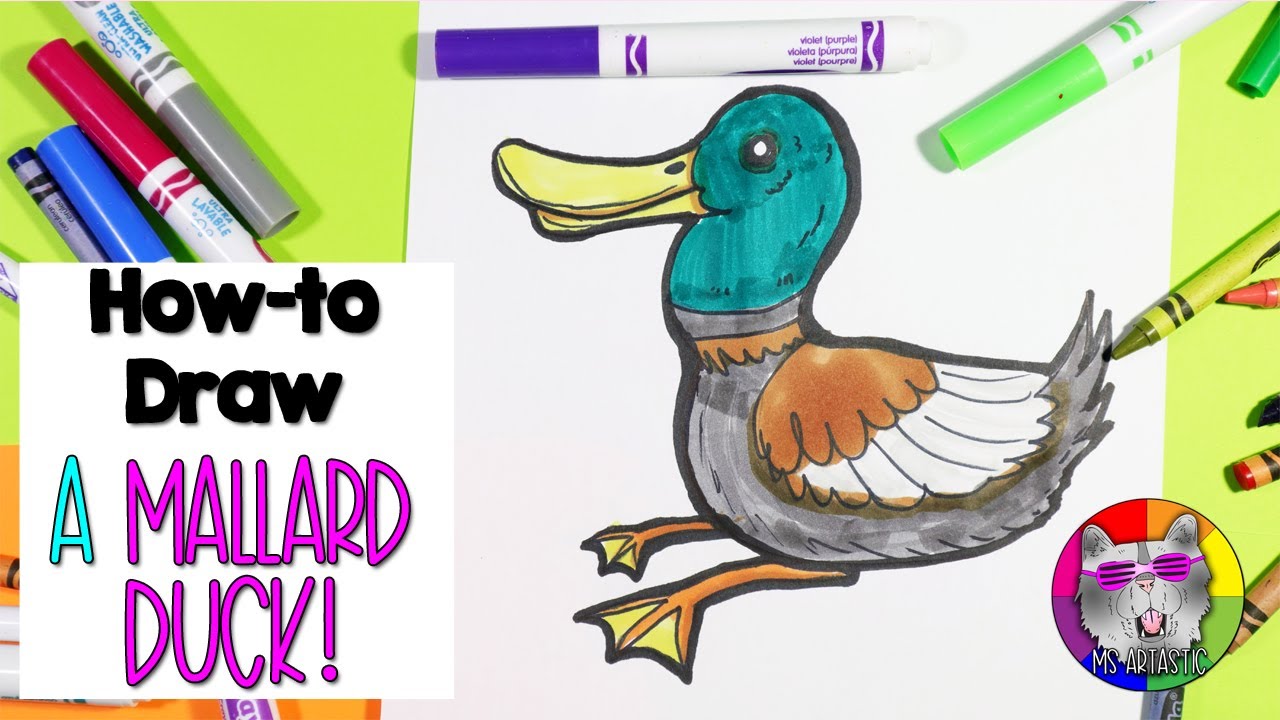 How To Draw A Duck Family 