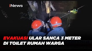 Petugas Damkar Jaktim Evakuasi Ular Sanca 3 Meter di Toilet Rumah Warga #iNewsSore 15/09