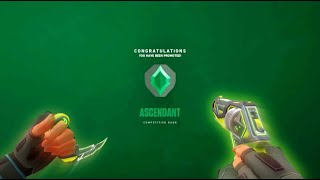 Son Defa Birşeyler Hissetmiştim Hayatta