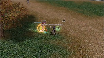 Metin2 NL - duel - Kangeroebigg (lvl 71) VS. KoedBai (lvl 68)