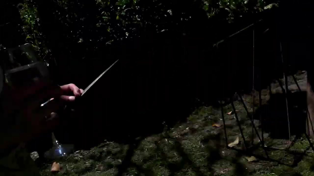 EMPANADAS DE BAGRE!!!! logramos que las pruebe EL PAISA jaja