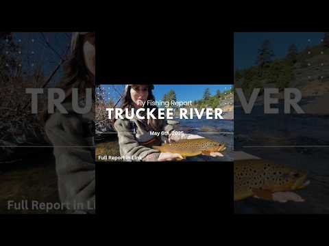 Truckee River Fly Fishing Report - May 6th. #truckeeriver #laketahoe #truckeeriverflyfishingreport
