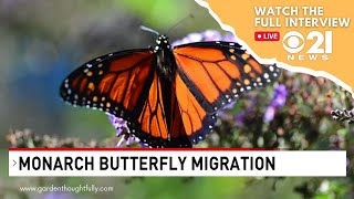 CBS 21 News: Tagging, Tracking Monarch Butterflies before their Great Migration