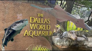 Dallas World Aquarium | Full Walkthrough, 2025