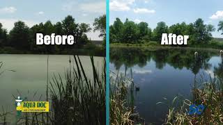 2021 Fast Track 50: Established Honoree -Aqua Doc Lake and Pond Management Inc.