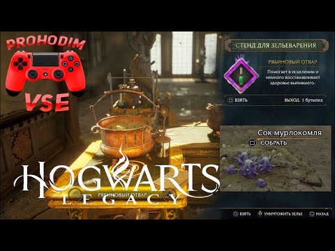 Хогвартс Наследие Гайд Бесконечный Рябиновый Отвар Hogwarts Legacy Гайд Бесконечный Хил