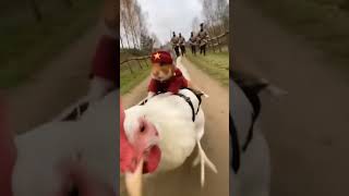 Квантовый двойник вождя пролетариата #ленин #мем #прикол #угар #хомяк #история #ссср #егэ #огэ #угар