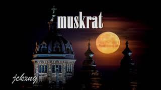 JCKXNG - Muskrat || Peaceful Guitar/Piano Beat (Official Audio)