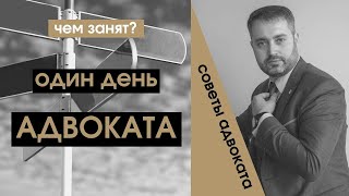 Один день адвоката.  Чем занят адвокат из Ижевска Ихсанов Альберт Флюрович. Про адвоката