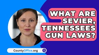 What Are Sevier, Tennessees Gun Laws? - CountyOffice.org
