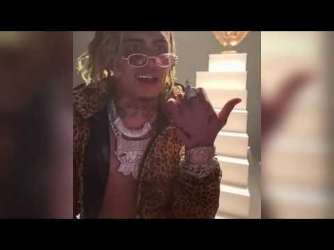 Видео: Укус змеи Lil Pump на видео