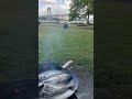 Next day Porgy fishing we went to under the GB bridge and enjoyed.
