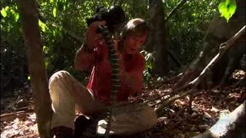 Austin Stevens in Search of the Man Eating Phyton Part 3