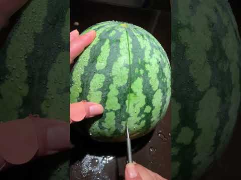#farming #agriculture #shortvideo #shortsfeed #youtubeshorts thumbnail