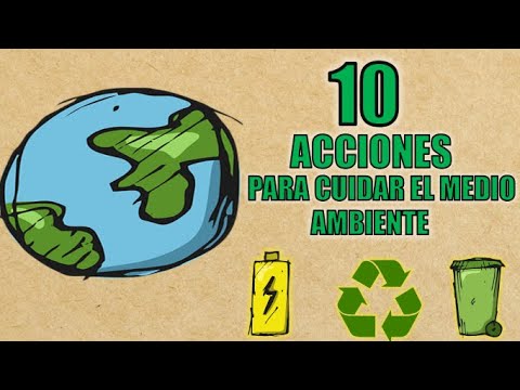 10 ACCIONES PARA CUIDAR EL MEDIO AMBIENTE - thptnganamst.edu.vn