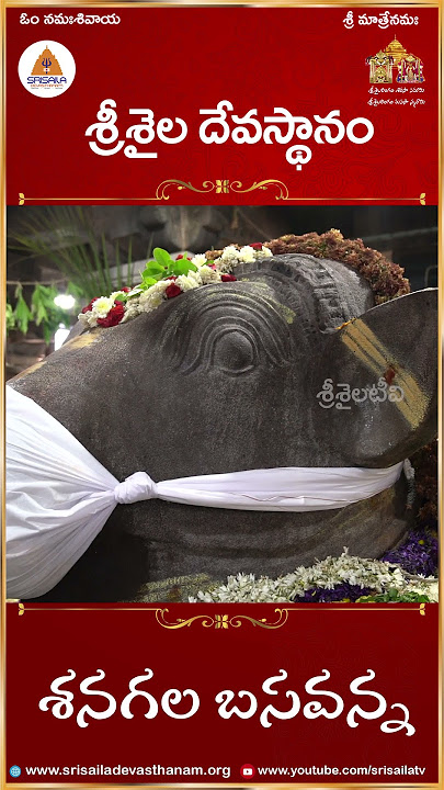 #Shenagala Basavanna  #srisailam #chaganti