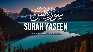 Surah Yasin (سورة يس) | Zikir Terindah | Quran Bebas Hak Cipta