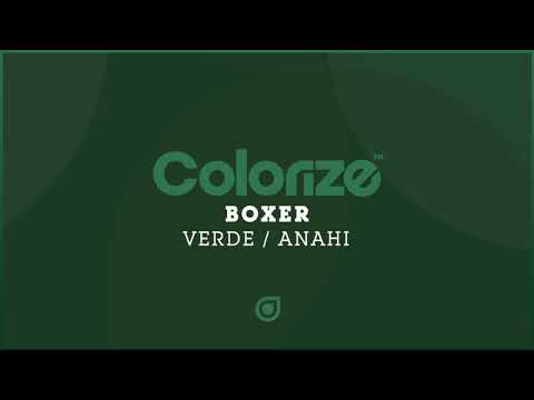 BOXER (10) — Boxer - Anahi [OUT NOW]