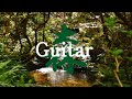 Beautiful Relaxing Music Guitar Music In The Forest 