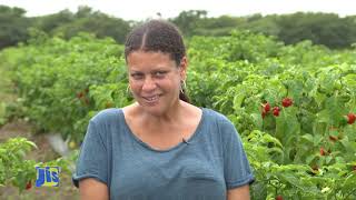 Women in Agriculture Liz Levy